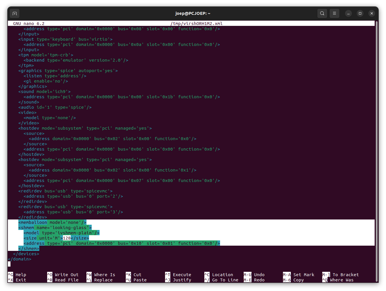 Looking glass, RDP, GPU passthrough